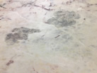 Ʒ - Skarlis Marble